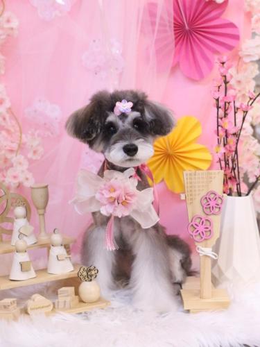 20250313ルナちゃん